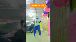 Senam Aerobik shortvideo [upl. by Anilegnave]