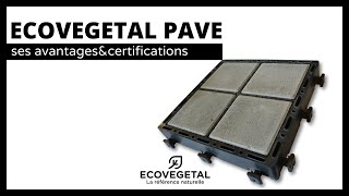 ECOVEGETAL PAVE  avantages et certifications du système [upl. by Gavin767]