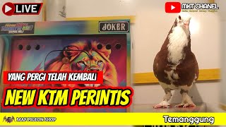 🔴WAKTU HILANG SEMPAT SETRES‼️REVIEW PLAYER MUDA  NEW KTM PERINTIS TEMANGGUNG PART 01 [upl. by Lilah]