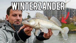 Zander im Winter  so fängst du sie  Streetstyle Fishing [upl. by Niwle147]