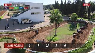 Live Hippodrome « SETTAT »  Courses du « 03112024 » [upl. by Leeann706]