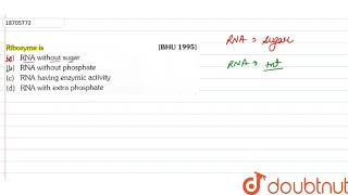 Ribozyme is [upl. by Nored]