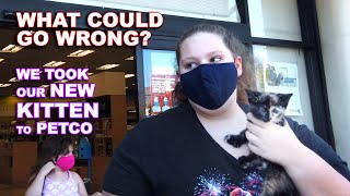 Taking Our New Pet Kitty Cat Kitten to Petco [upl. by Ased41]