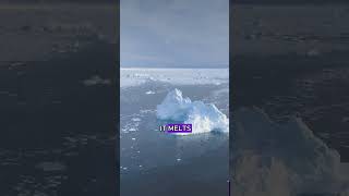 Does MELTING ICE CAPS RAISE the SEA LEVEL [upl. by Barnet249]