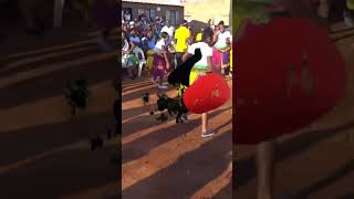 Tsonga dance  SwinyeletanaKhinyaveza [upl. by Gemoets]