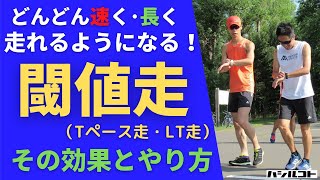 どんどん速く・長く走れるようになる！閾値走（Tペース走・LT走）その効果とやり方 [upl. by Lorie]