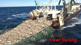 Amazing commercial fishing by trawl  Net Fishing Hundreds of tons of fish are caught on the boat [upl. by Chuu]