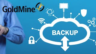 How to BACKUP GoldMine CRM the EASY WAY [upl. by Landbert]