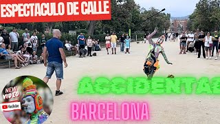 Karcocha en Parque ciudadela Barcelona P2 [upl. by Opiak152]