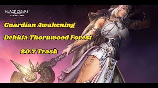 BDO Guardian Awakening 317AP Dehkia Thornwood Forest YLS 207K Trash黑色沙漠 覺醒守護 AP317 燈火刺樹 大白207K [upl. by Nolat]