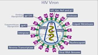 2 Anti Viral drugs  Anti HIV drugs AIDS [upl. by Greabe]