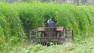 Mahindra 475 Tractor Puddling In Forest Like Plants InTractor Videos Palleturi [upl. by Ocirderf]