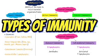 Types of Immunity Chapter 35 part 1 Guyton and Hall Physiology [upl. by Shaff]