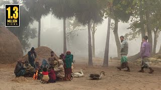 কুয়াশার চাদরে মোড়া সিরাজগঞ্জের বাকাই গ্রাম ২০২৩  PanoramaDocumentary [upl. by Cornwall]