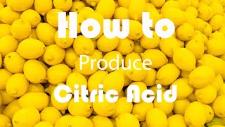 Group 2 BTDP  Citric Acid Production [upl. by Kurtzman]