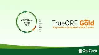 TrueORF GOLD the only expressionvalidated cDNA clones [upl. by Ashlan]