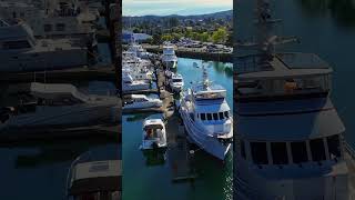 Cap Sante Marina  Beautiful Boats Docked in Anacortes [upl. by Idihc753]