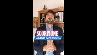 Scorpione un dono particolare [upl. by Berti]