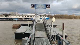 Hochwasser Köln  Rodenkirchen 261223 [upl. by Adiaroz819]