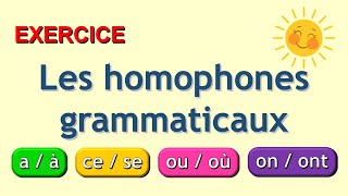 les homophones grammaticaux exercices [upl. by Eiznekcam570]