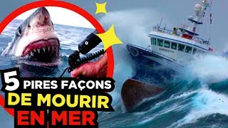 5 DANGERS TERRIFIANTS en MER 🐬 [upl. by Inaluiak289]