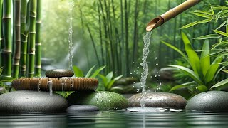 Relaxing Piano Music amp Water Sounds 247  Ideal for Stress Relief and Healing  Money Caller [upl. by Sion171]