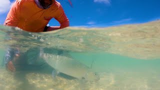 Bahamian Bonefish Fly Fishing [upl. by Eiddal]