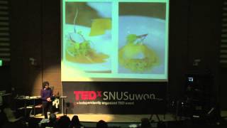 Molecular gastronomy and Korean food Kiho Kim at TEDxSNUSuwon [upl. by Oakie145]