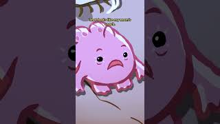 Giant Frogfish 🐸🐟 animation original cartoon [upl. by Amikehs]