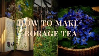 How to make harvest Borage Tea [upl. by Iphagenia]