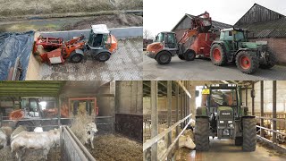 Feeding cattle with Atlas Fendt amp Trioliet [upl. by Fagen]