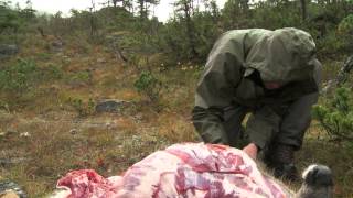 How to Quarter and Pack Game out of the Backcountry  Conservation Field Notes with Steven Rinella [upl. by Fleisher]