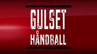 Gulset Håndball jenter 1314 [upl. by Demeyer]