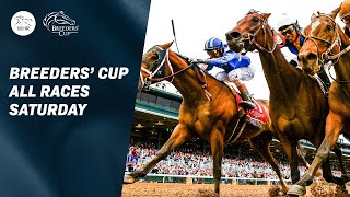 A Breeders Cup To Savor  Flightline amp Codys Wish Star At Keeneland  2022 Breeders Cup Saturday [upl. by Medeah214]