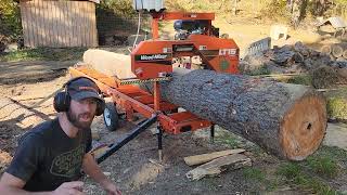 WoodMizer Saw Shed Part 1  Milling the Main Beam sawmill woodworking hardwork [upl. by Starobin389]