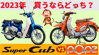 【C125】買うならどっち？王者スーパーカブ VS GPX POPz110 【Super Cub 110】 [upl. by Ettore]