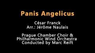 Marc Reift  Panis Angelicus César Franck Arr Jérôme Naulais [upl. by Annovy]