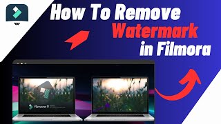 How To Remove WatermarkLogo From Video In Filmora  3 EASY METHODS [upl. by Renrew]