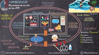 Antibióticos Mecanismo de Acción SÚPER FÁCIL MNEMOTECNIA  Mentes Médicas [upl. by Chapin665]