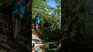 shorts 246  VTT MTB DH ENDURO RIDING [upl. by Papageno]