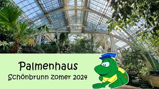 Palmenhaus Schönbrunn zomer 2024 [upl. by Jews]