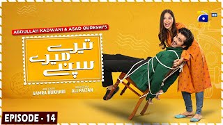 Tere Mere Sapnay Mega Episode 14  Eng Sub  Shahzad Sheikh  Sabeena Farooq  24th March 2024 [upl. by Bertine]