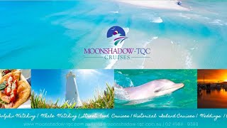 MoonshadowTQC  Dolphin and Whale Watching Cruises  Port Stephens [upl. by Asha]