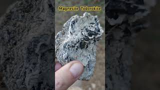 Magnesite Todorokite  Rock Hounding rockhounding minerali minerals rockhunting [upl. by Carling851]