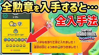 【マリオワンダー】全ての勲章を入手すると・・入手法・報酬紹介【スーパーマリオブラザーズ ワンダー】【Switch】 [upl. by Norraa575]