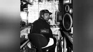 Wiley  Bring Them All  Holy Grime Ft Devlin Official Audio  Grime Nation [upl. by Meehyr245]