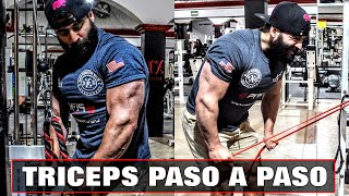 El mejor ejercicio para CRECER tus TRICEPS [upl. by Marr]