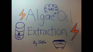 Algae Oil Extraction [upl. by Reiss]