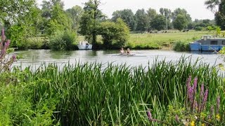 Oxfordshire Country Walk Wallingford Thames Path The Ridgeway Swans Way round [upl. by Darlleen]