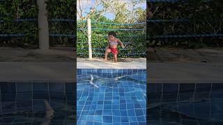 Jumping into the pool 😢😰😱🦈🦈funny shark mar Water megalodon funnymoments comedy [upl. by Persson690]